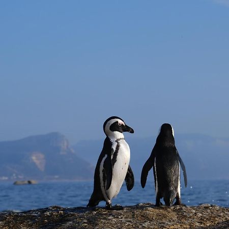 Penguin Haven . Luxury 2 Bedroom, Boulders Beach. Kapstaden Exteriör bild