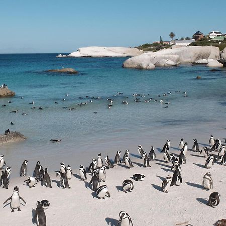 Penguin Haven . Luxury 2 Bedroom, Boulders Beach. Kapstaden Exteriör bild