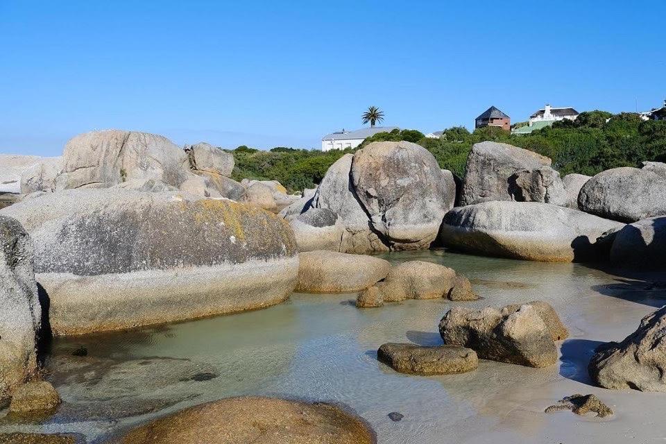 Penguin Haven . Luxury 2 Bedroom, Boulders Beach. Kapstaden Exteriör bild